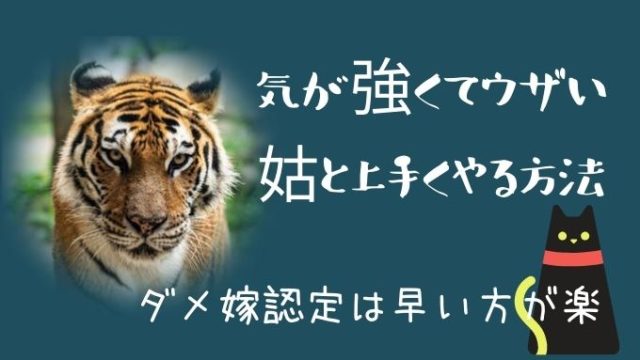 気が強くてうざい姑と上手くやる方法 私はダメ嫁認定させて聞き流す アラフィフ主婦ブログ アラフィーナ 気が強くてうざい姑と上手くやる方法 私はダメ嫁認定させて聞き流す アラフィフ主婦ブログ アラフィーナ