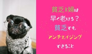 毎日がつまらないと感じる40代50代主婦はある意味当然 受け入れて前に進もう 巣ごもりアニス 毎日がつまらないと感じる40代50代主婦はある意味当然 受け入れて前に進もう 巣ごもりアニス