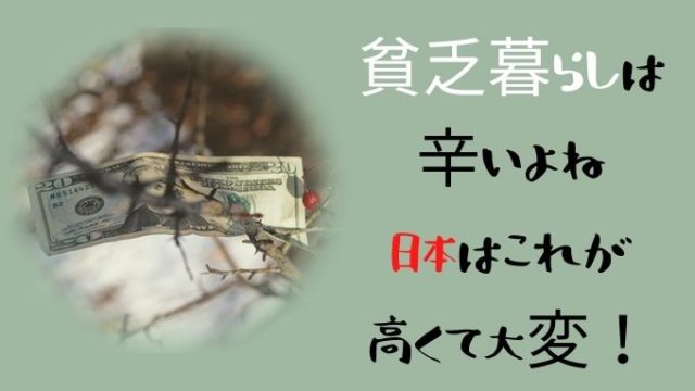 貧乏暮らしは辛いよね 主婦にとって日本はこれが高くて大変 アラフィフ主婦ブログ アラフィーナ 貧乏暮らしは辛いよね 主婦にとって日本はこれが高くて大変 アラフィフ主婦ブログ アラフィーナ