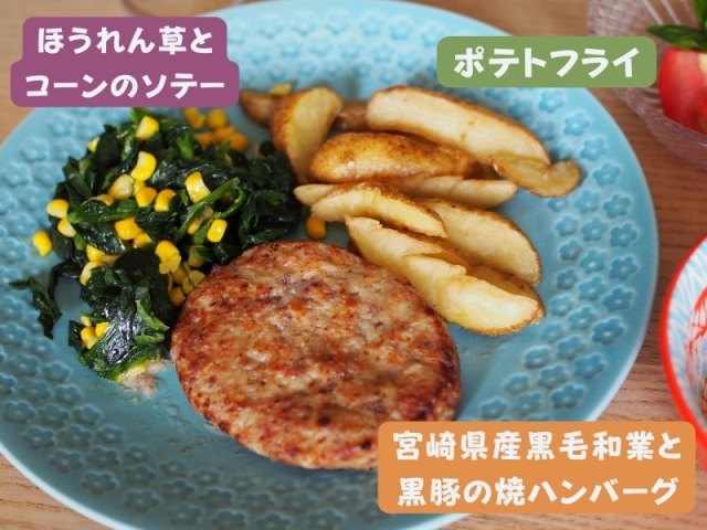 わんまいるの一食分
ハンバーグ